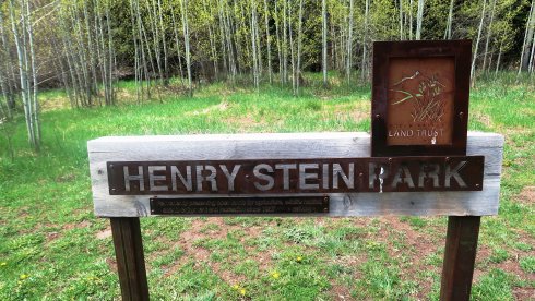 henry-stein-park.JPG