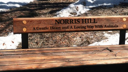 norris-hill-bench-in-Aspen-2.JPG
