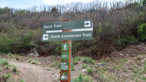 henry-stein-trail-4.JPG